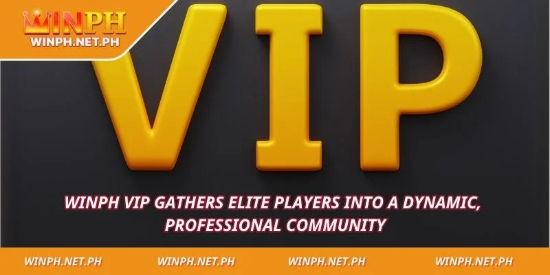 WINPH VIP gathers elite players into a dynamic, professional community