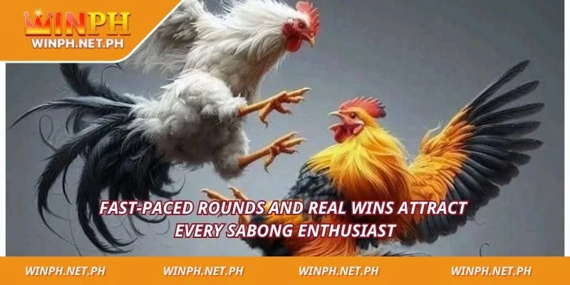 Fast-paced rounds and real wins attract every sabong enthusiast