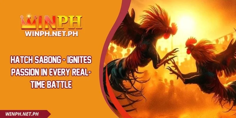 Hatch Sabong - Ignites Passion In Every Real-Time Battle
