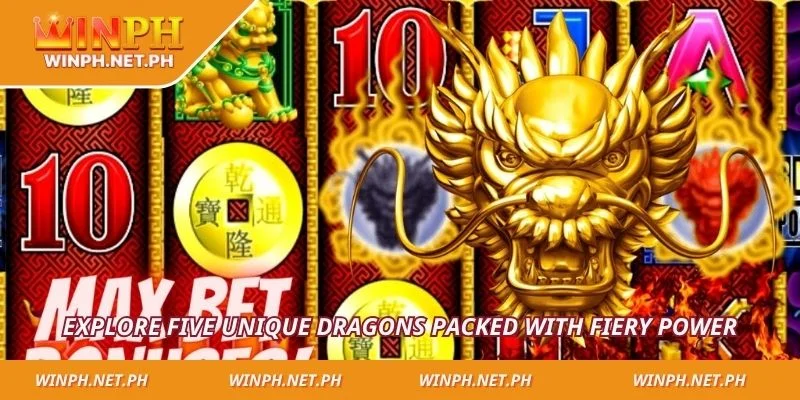 Explore five unique dragons packed with fiery power